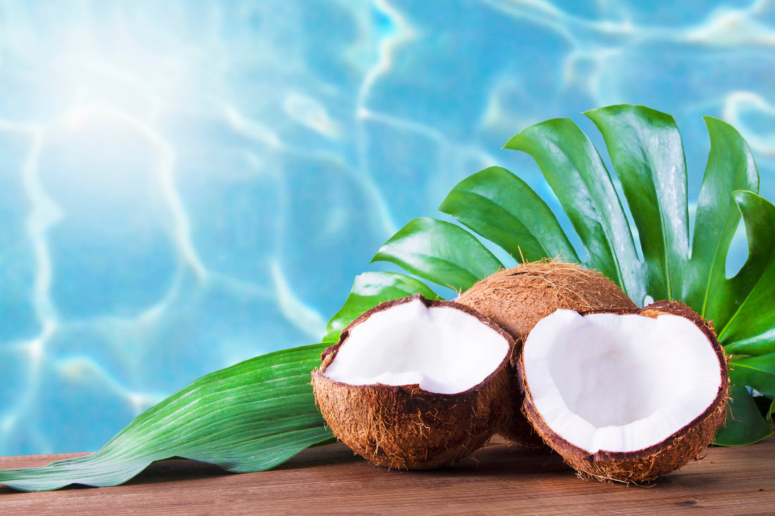 How Coconut Supports Brain Function, Metabolism, and Gut Health