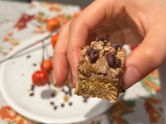 Egg-Free, Gluten-Free Pumpkin Spice Biscuit Bars with Coconut Streusel & Chocolate Chips